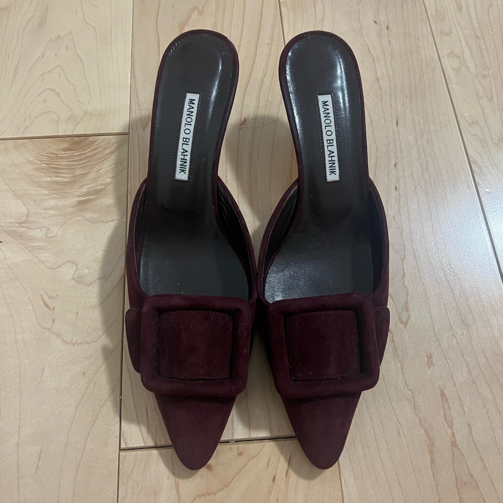Manolo Blahnik Maysale Burgundy Suede Mules